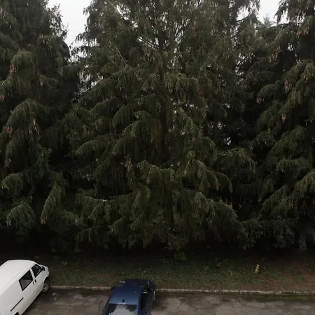 Kovacs Apartamento