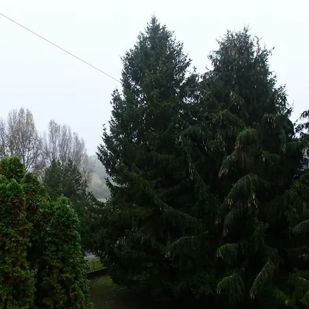 Апартаменты Kovacs *