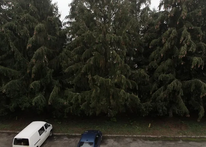 Kovacs Апартаменты