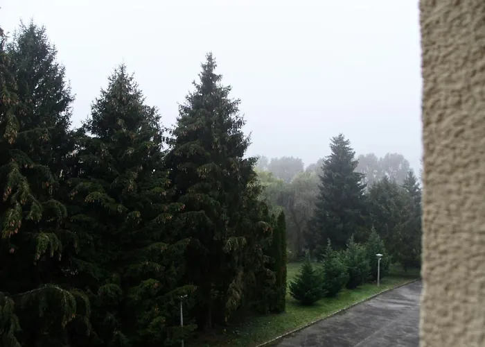 Kovacs Харканы