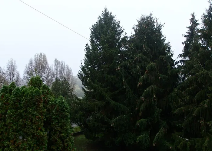 公寓 Kovacs *
